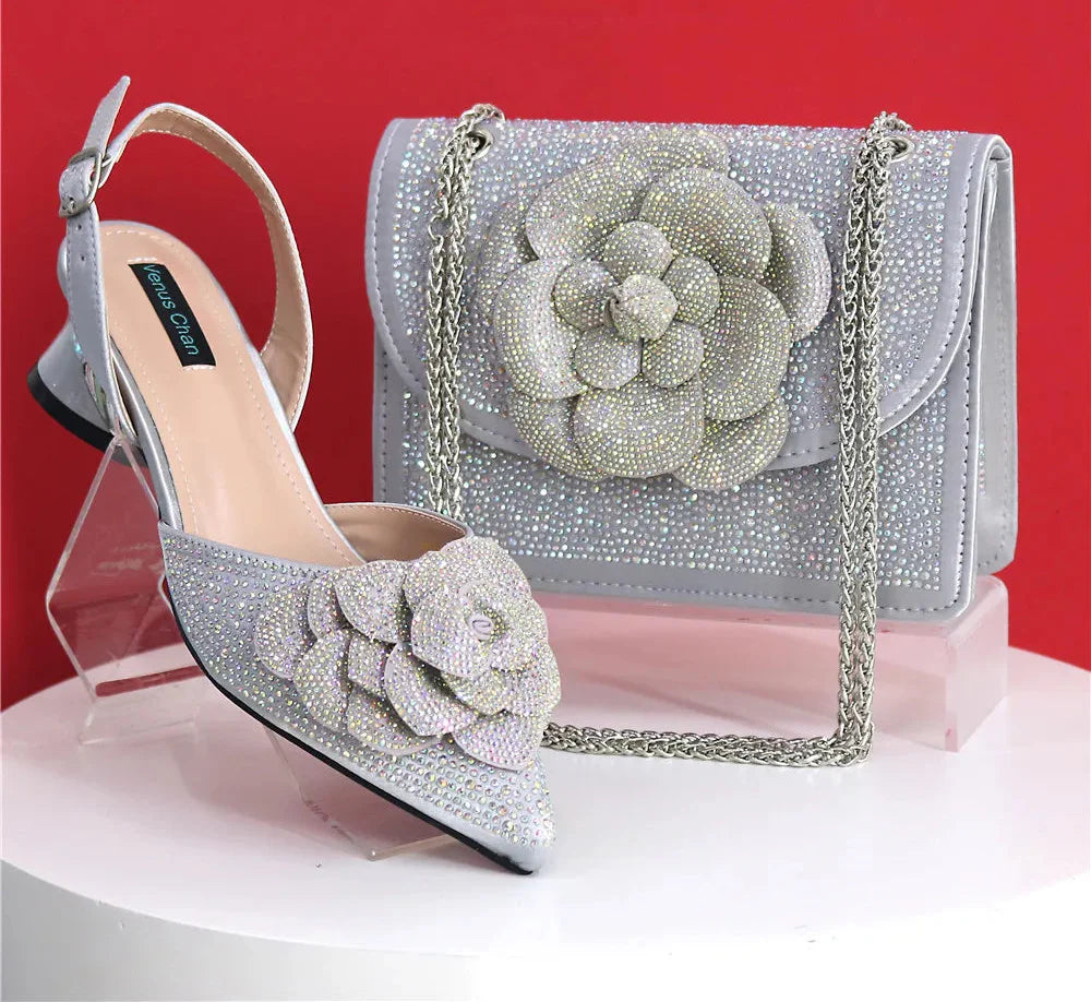 Latest Design Women's Shoes and Bags Set BRE43