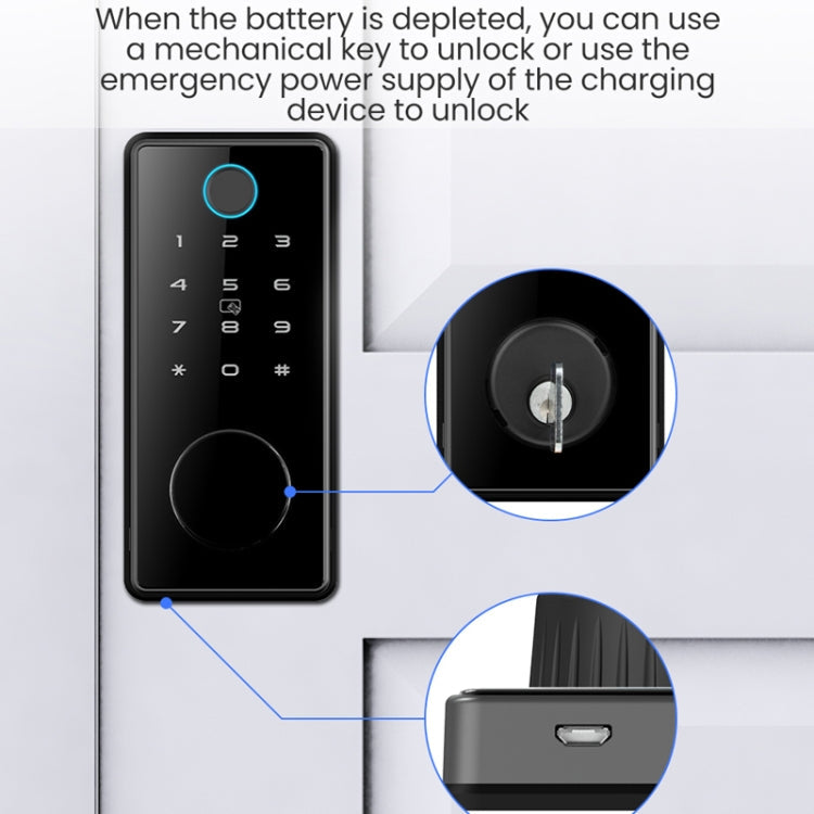 C87 Automatic Fingerprint Lock Entry Door Password Smart Lock(Black)