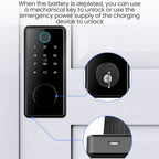 C87 Automatic Fingerprint Lock Entry Door Password Smart Lock(Black)