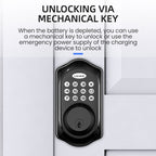 C88 Bluetooth Remote Tuya Automatic Smart Electronic Password Door Lock(Black)