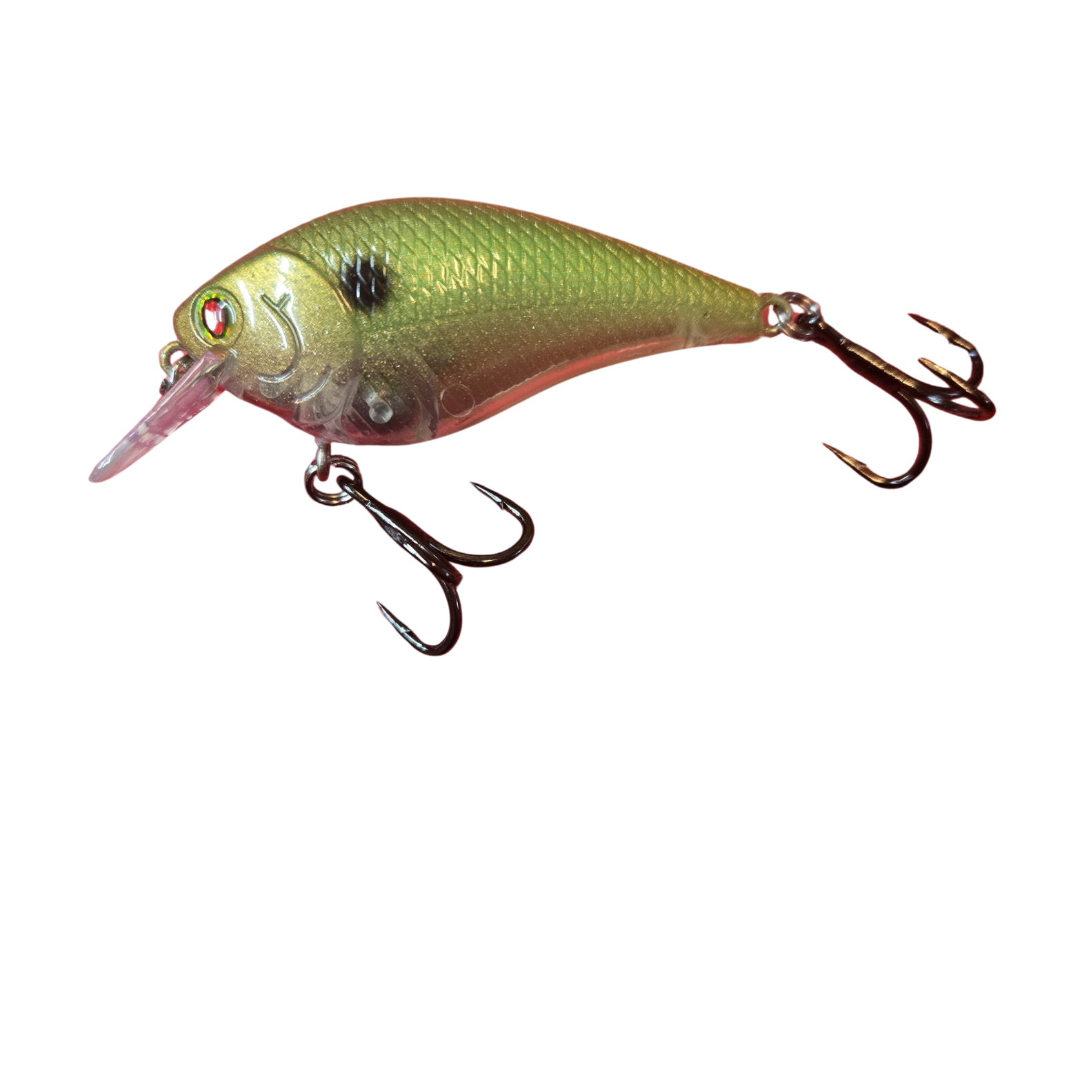 Copper Green Shad