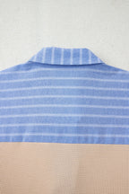 Parchment Plus Size Striped Contrast Trim Waffle Knit Collared Top