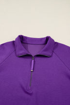 Wisteria Collar Half Zip Pullover Mini Skirt Plus Size 2pcs Set