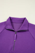 Pink Half Zip Sporty Pullover Mini Skirt 2pcs Outfit
