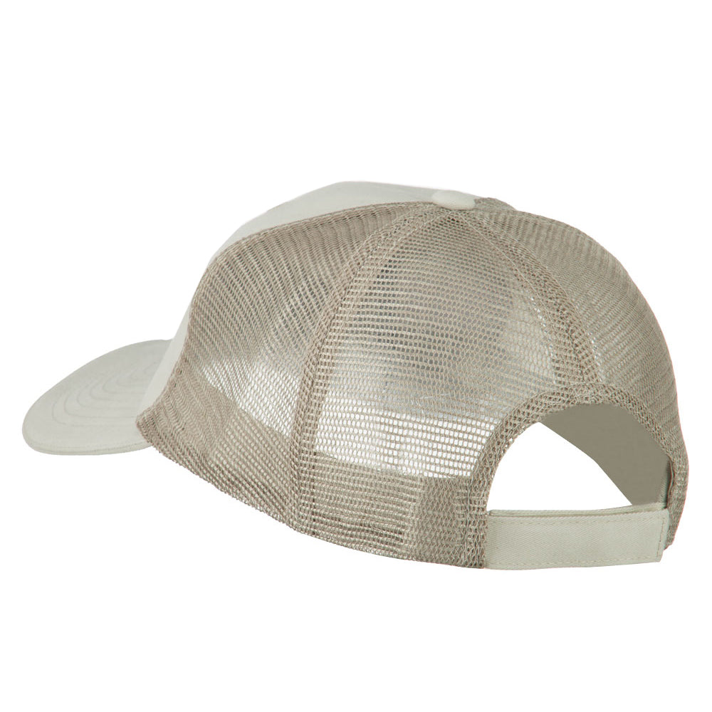 Big Mesh State Iowa Patch Cap