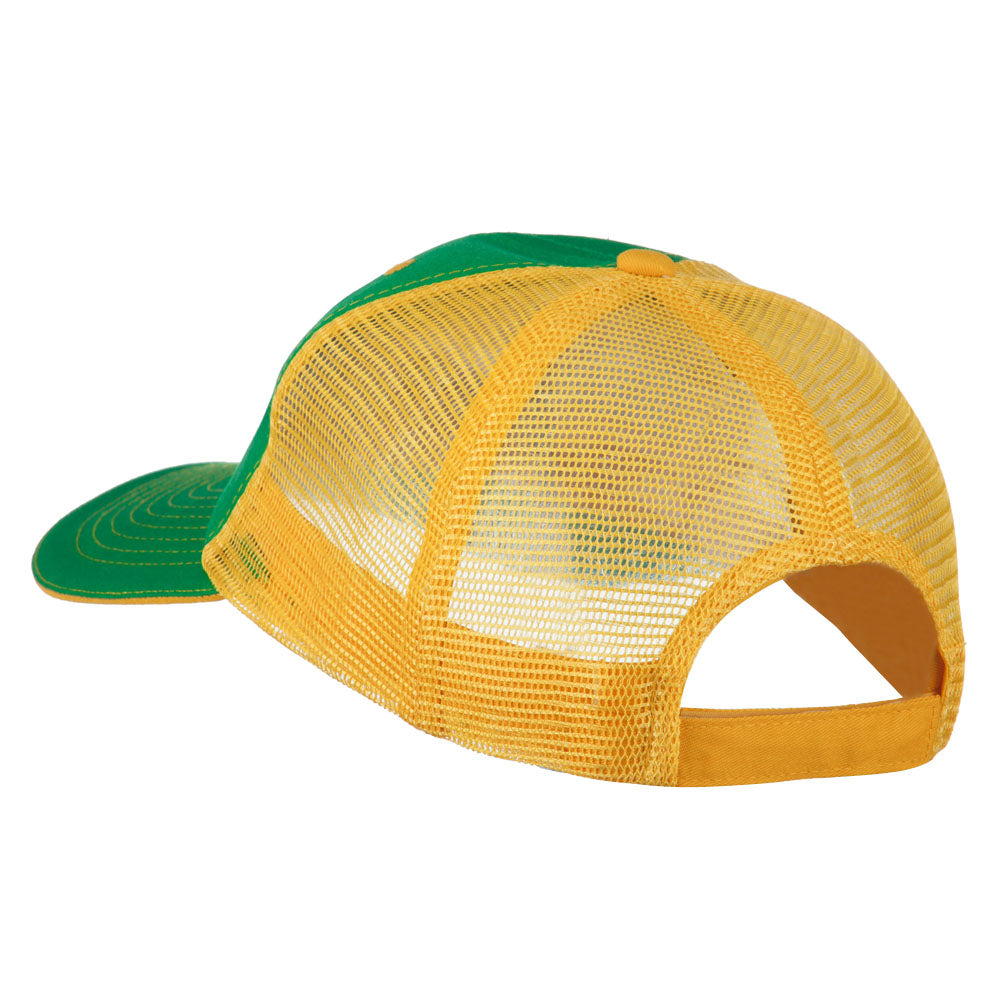 Big Mesh State Iowa Patch Cap
