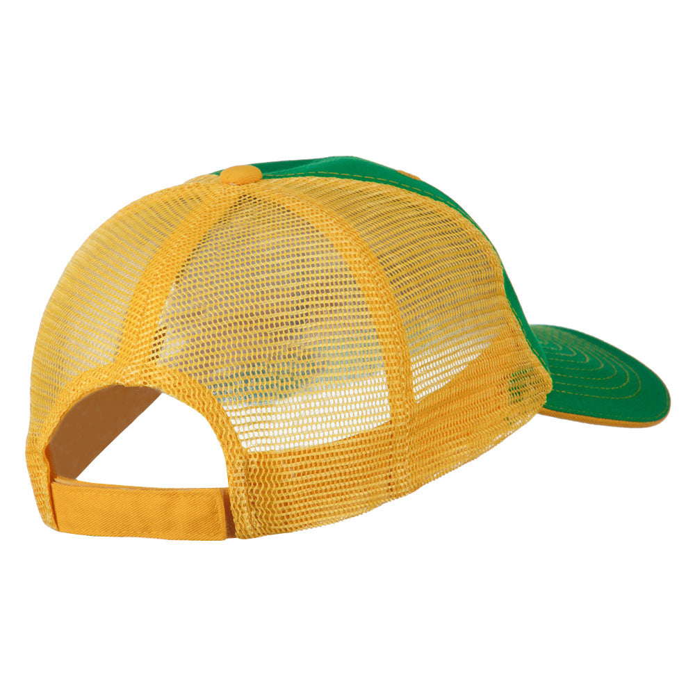 Big Mesh State Iowa Patch Cap
