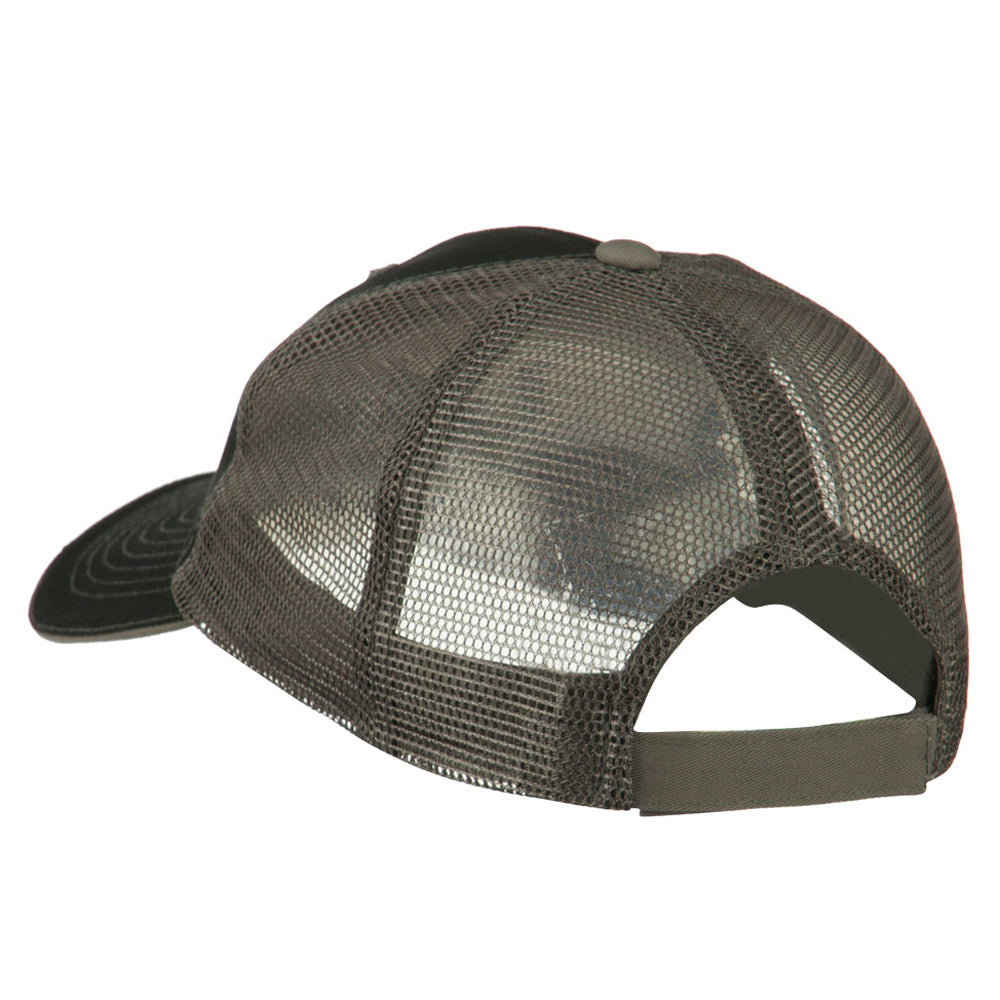 Big Mesh State Texas Patch Cap