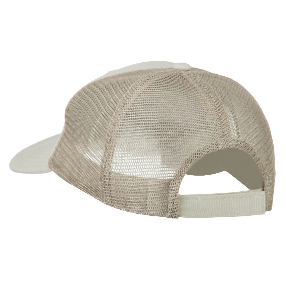 Big Mesh State Texas Patch Cap