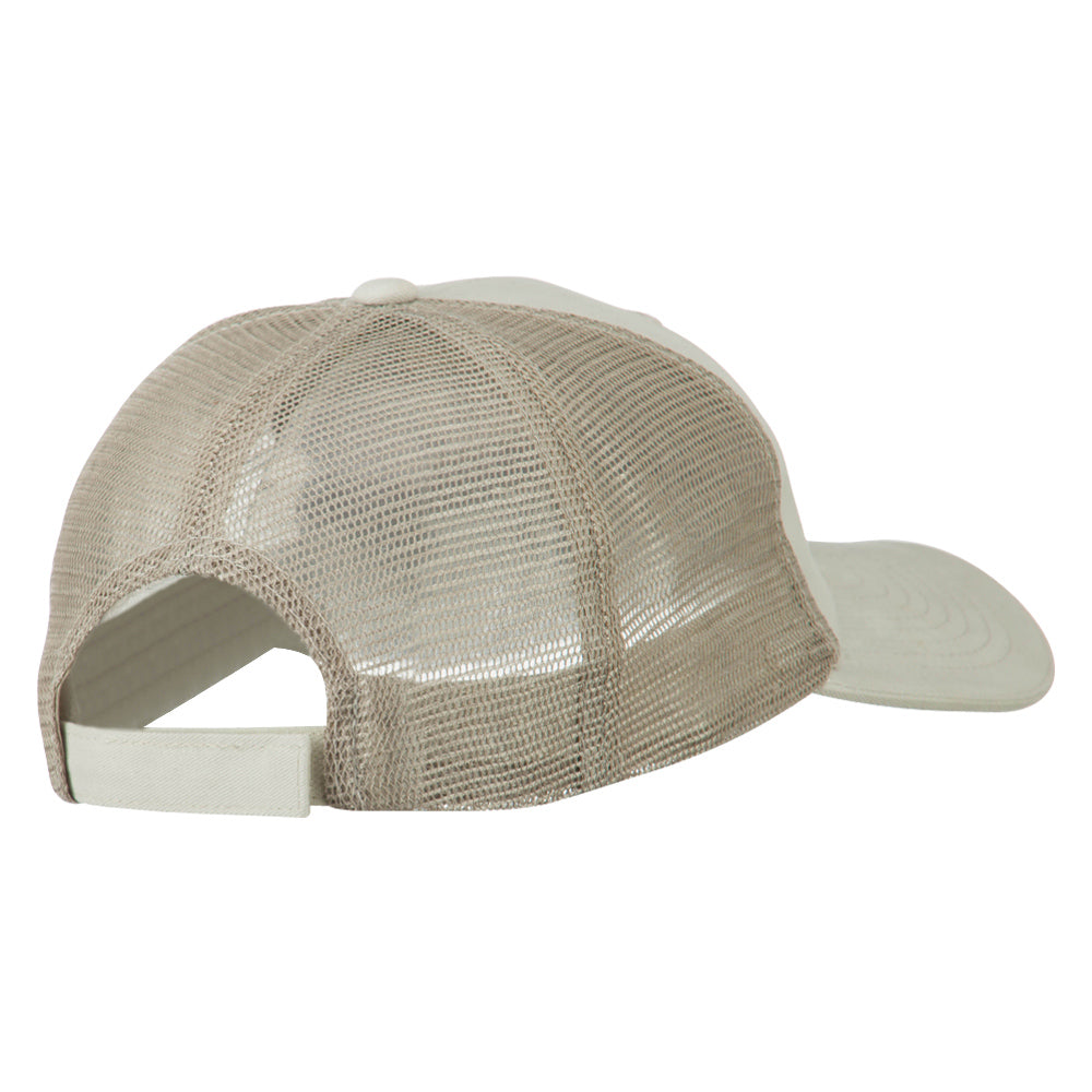 Big Mesh State Texas Patch Cap