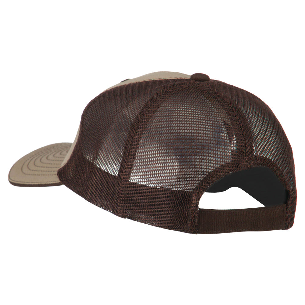 Big Mesh State Texas Patch Cap