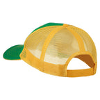 Big Mesh State Texas Patch Cap