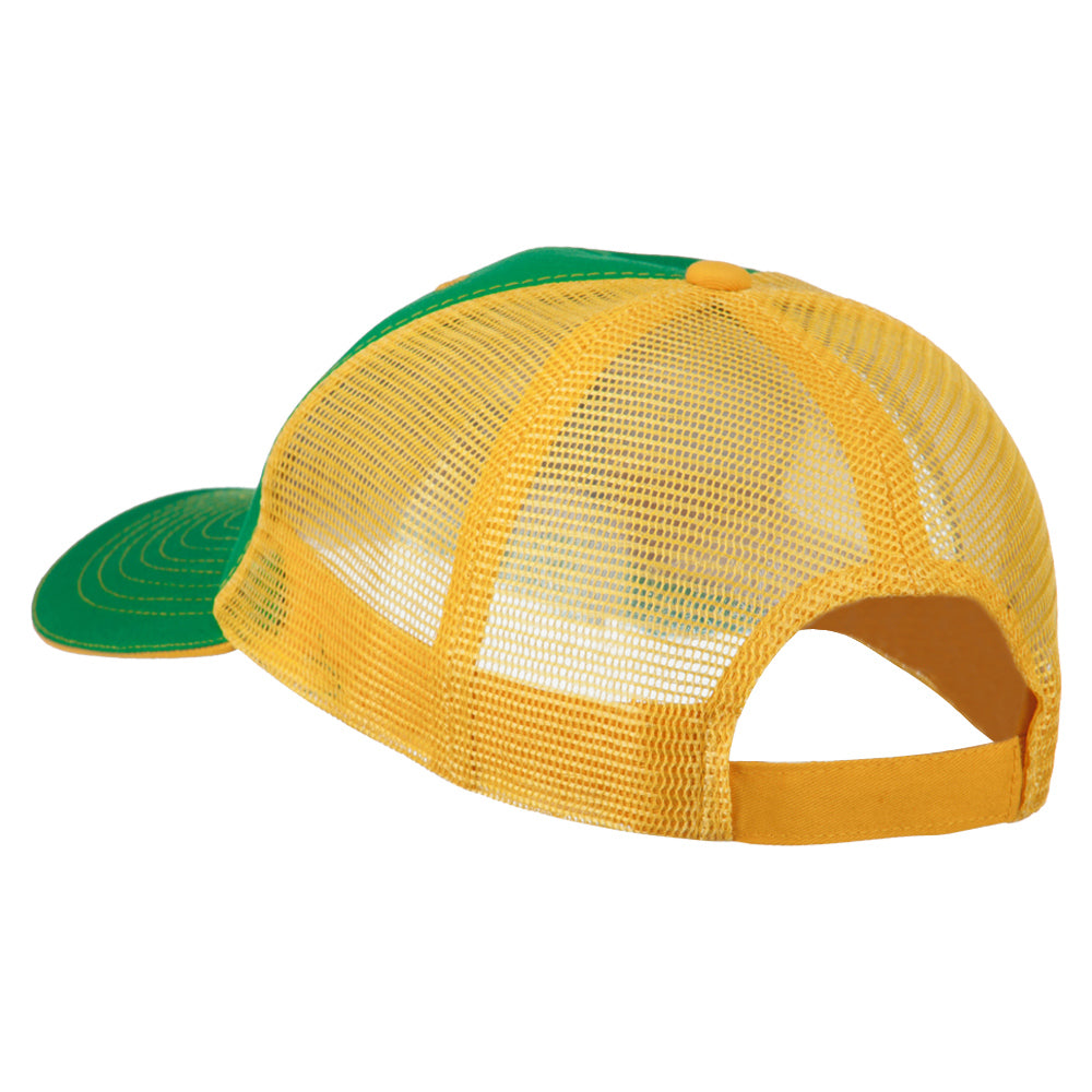 Big Mesh State Texas Patch Cap