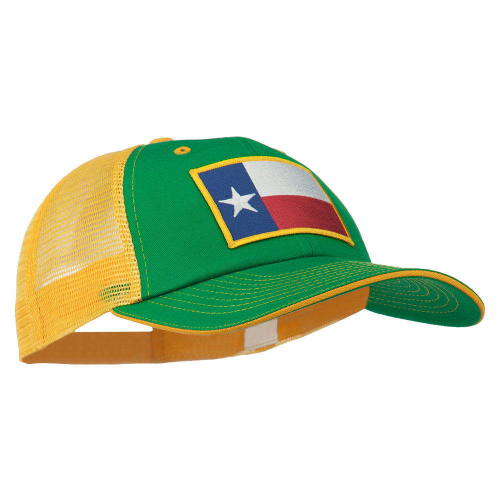 Big Mesh State Texas Patch Cap