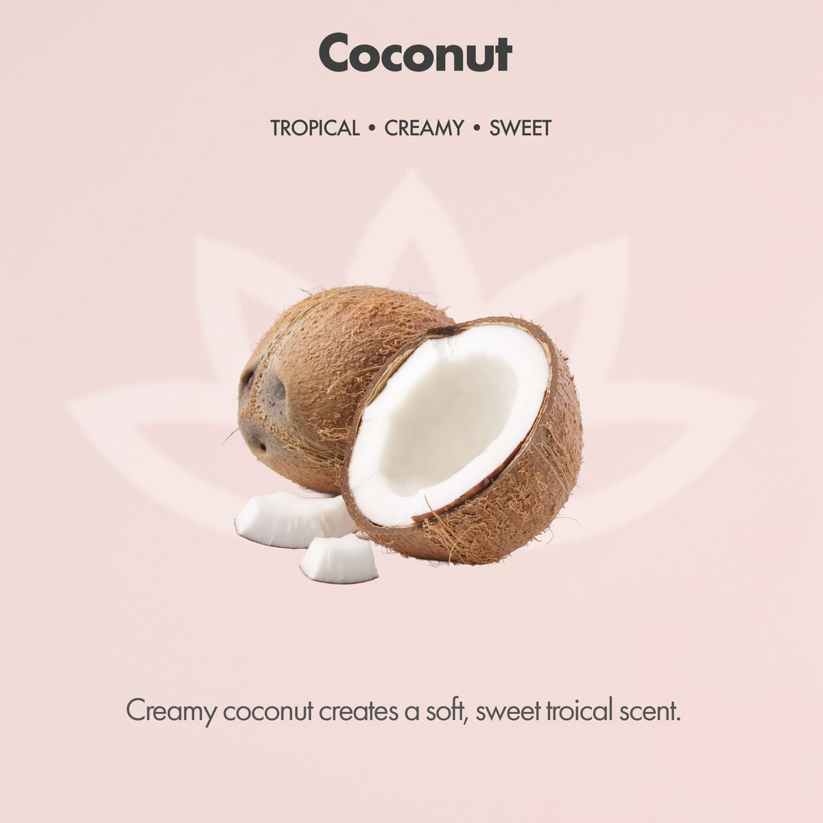 Organic Whipped Body Butter for Extremely Dry Skin 8 oz.
