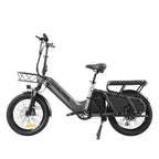 Coswheel HQ20 48V/20AH 1300W Electric All-Terrain Cargo Bike (SAK41597)