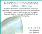 Rainbow Moonstone & Crystal Quartz Stretch Bracelet! Genuine Crystals!