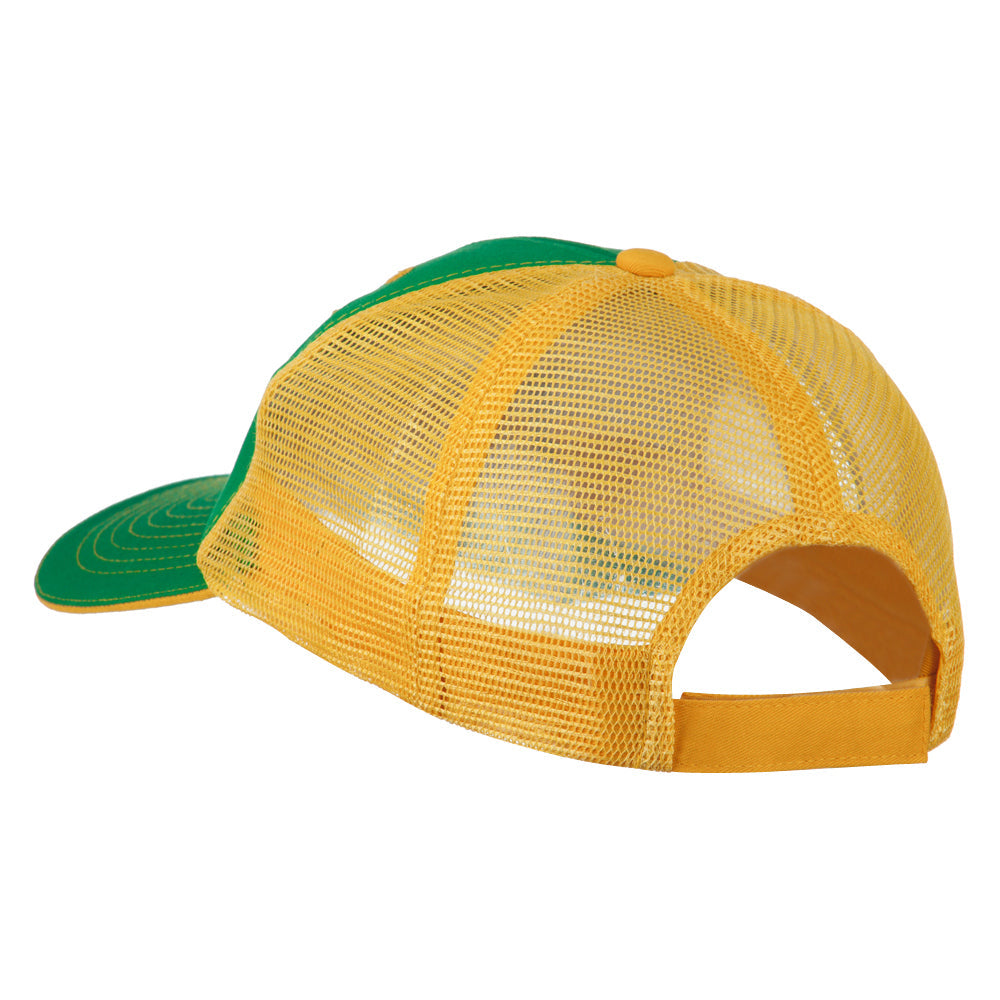 Big Mesh State Minnesota Patch Cap