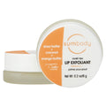 Lavish Lips Lip Exfoliant