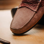 31-160-CDY MONZA Sueded Calfskin with Crocodile Driver Candy