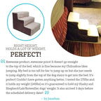 Paws & Pals Padded Pet Stairs