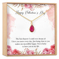 Valentine's Day Gift for Fianc̩e Necklace