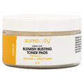 Wipe Out Blemish Busting Toner Pads 60 Ct
